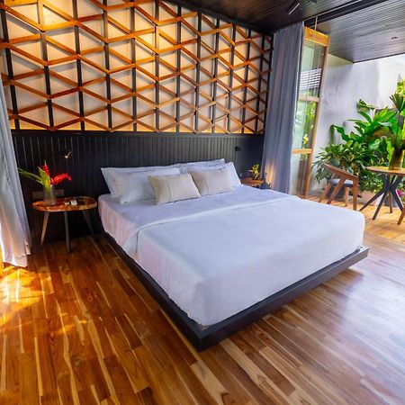 Danta Santa Lofts Apartment La Fortuna Ngoại thất bức ảnh