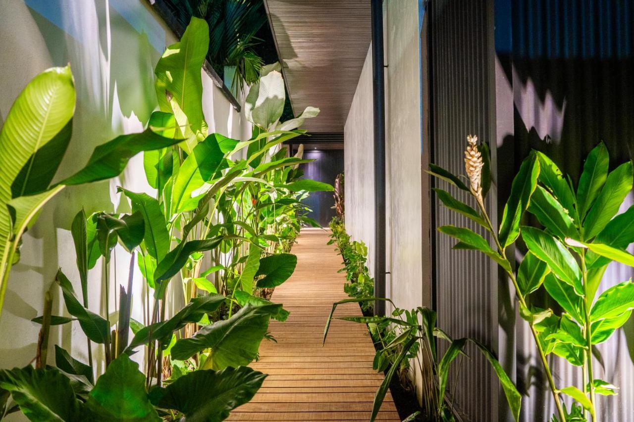 Danta Santa Lofts Apartment La Fortuna Ngoại thất bức ảnh